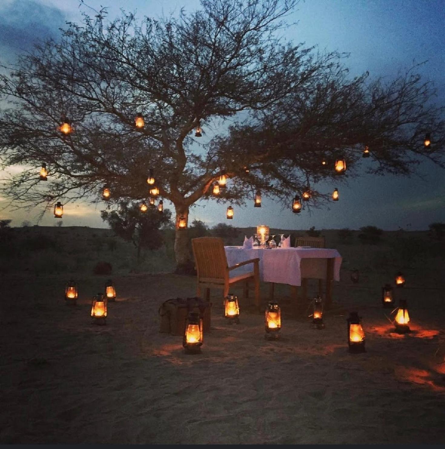 Wild Heritage Resort & Camp Jaisalmer Dış mekan fotoğraf